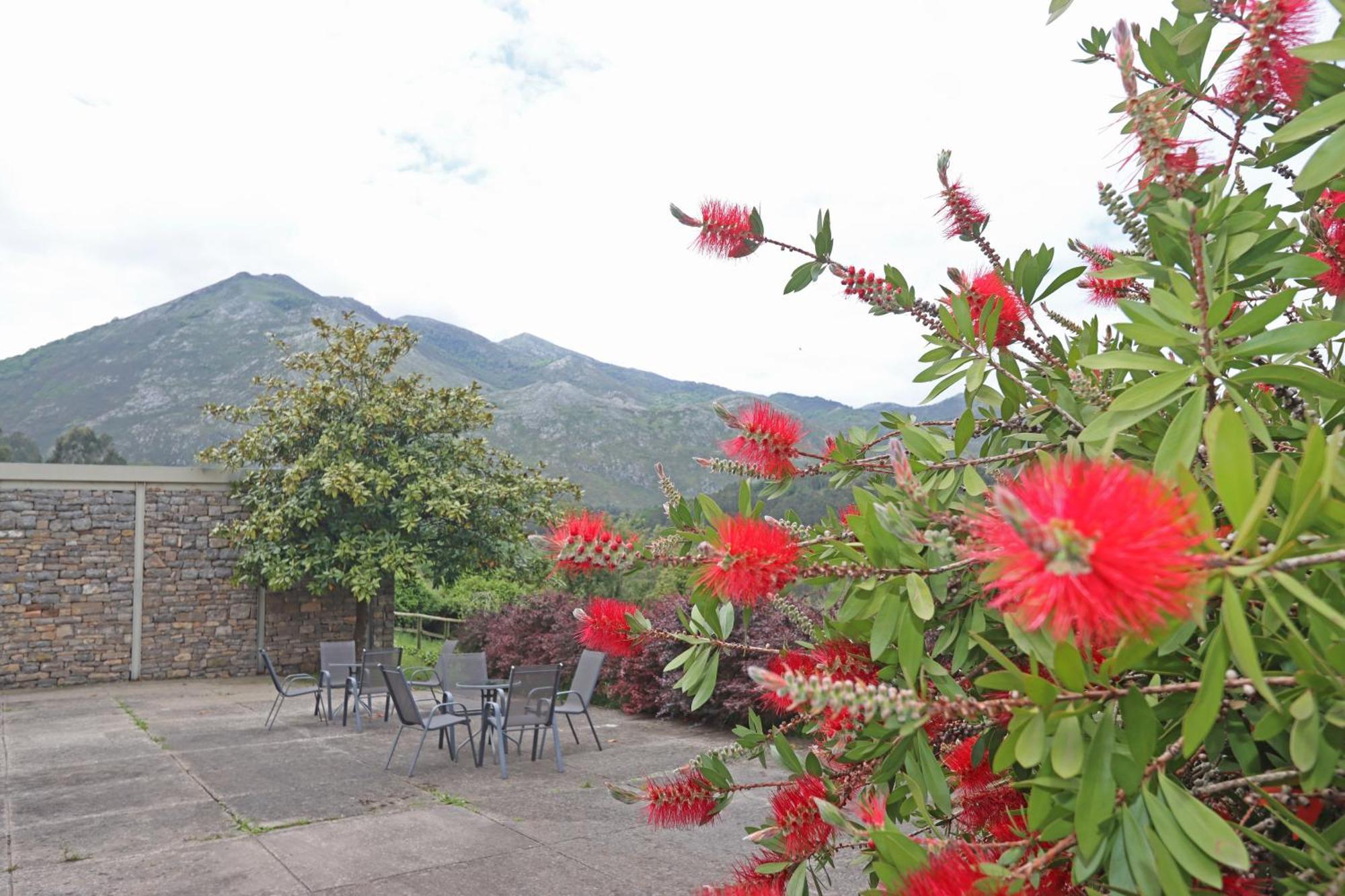 Hotel El Babu Caravia Dış mekan fotoğraf