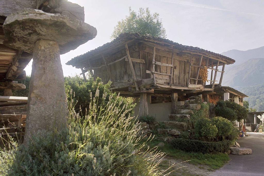 Hotel El Babu Caravia Dış mekan fotoğraf